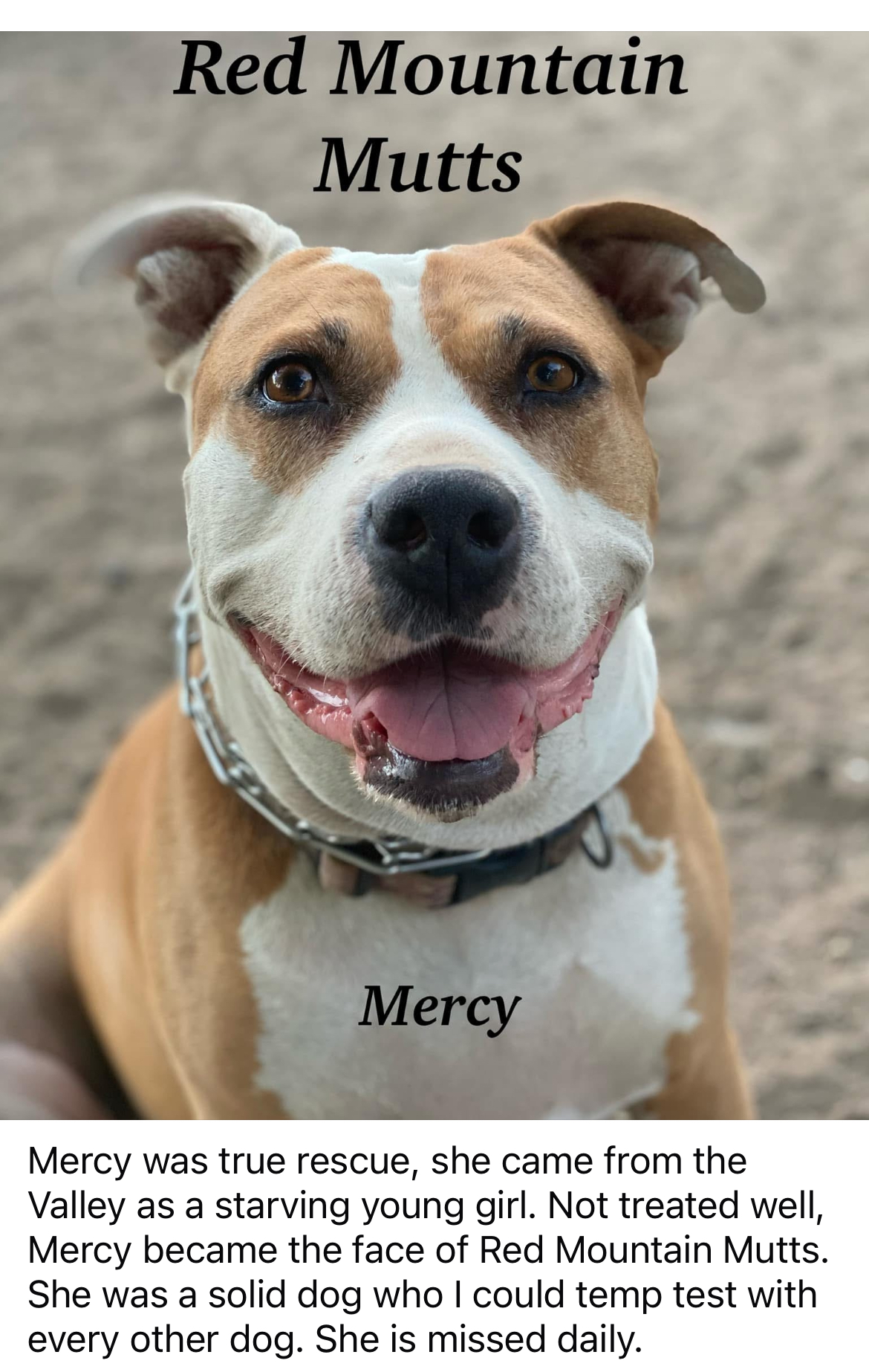 Debbie Kopilow Image